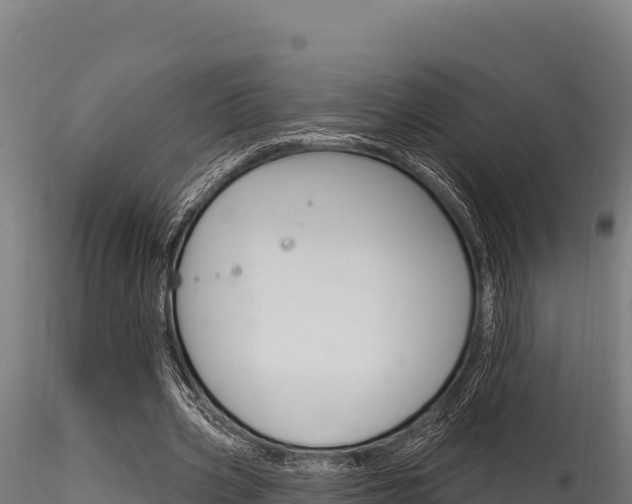 X0000116280533200911301043