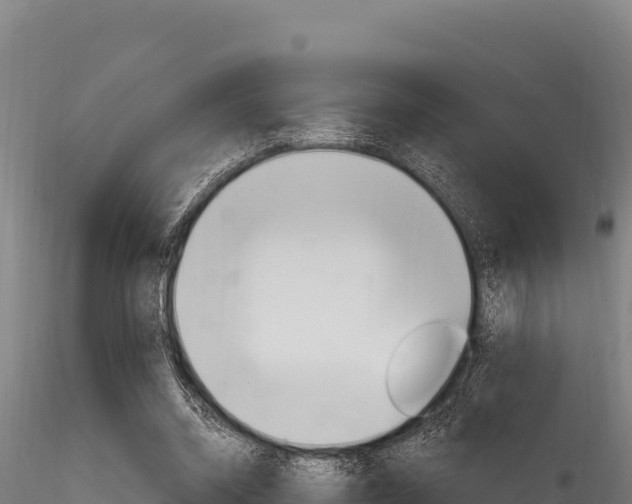 X0000116280534200911301043