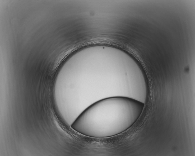 X0000116280538200911301043
