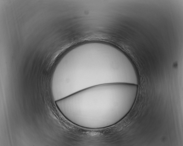 X0000116280539200911301043