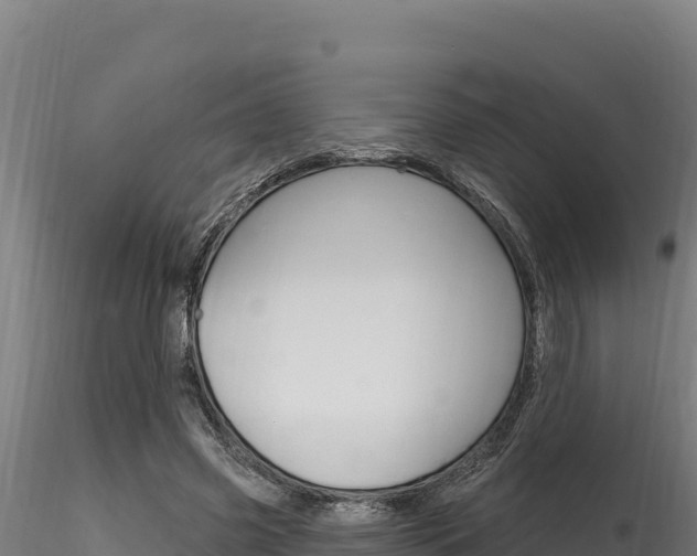 X0000116280541200911301043