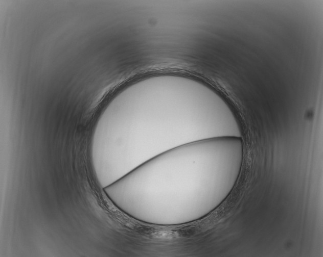 X0000116280543200911301043
