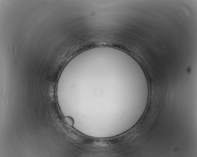 X0000116280545200911301043