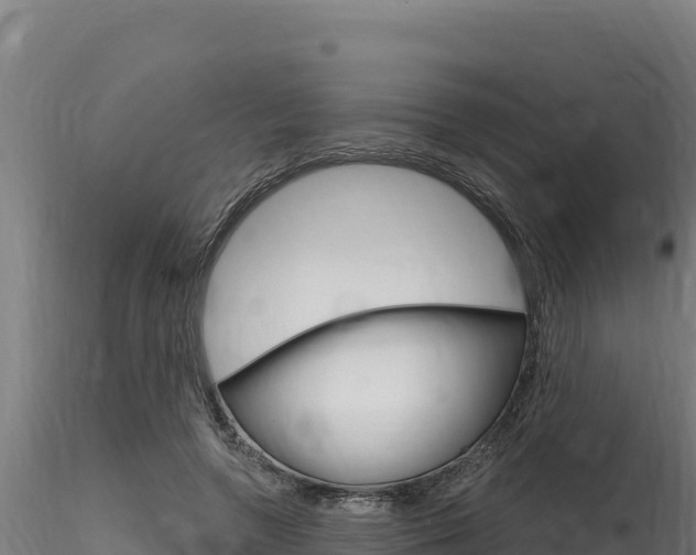 X0000116280546200911301043