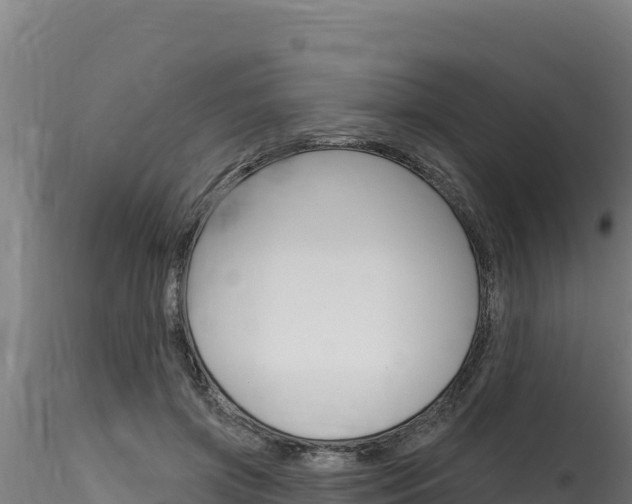 X0000116280549200911301043