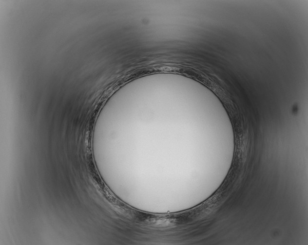 X0000116280553200911301043
