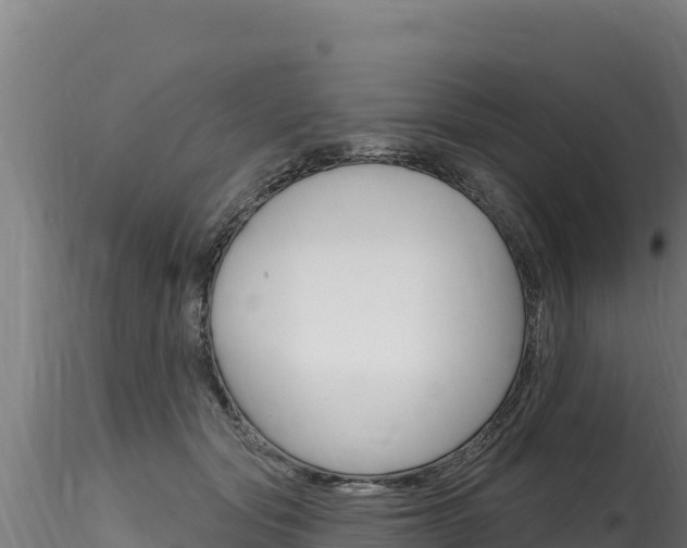 X0000116280557200911301043