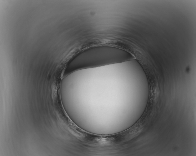 X0000116280558200911301043