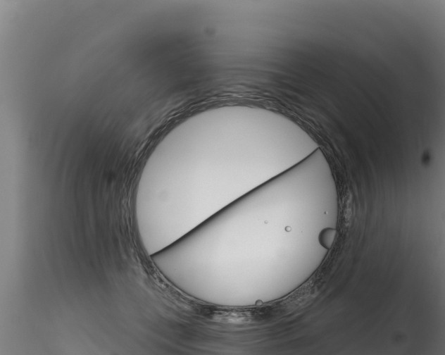 X0000116280559200911301043