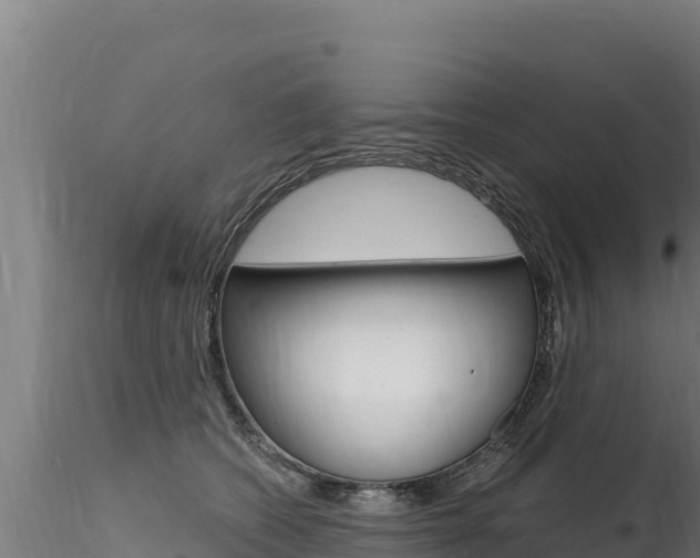 X0000116280562200911301043