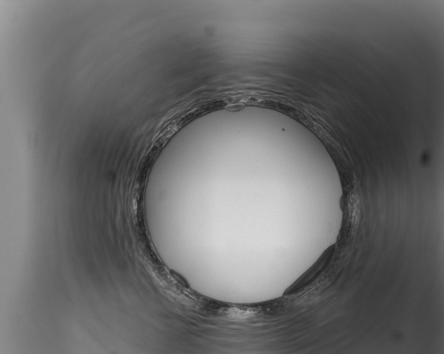 X0000116280570200911301043