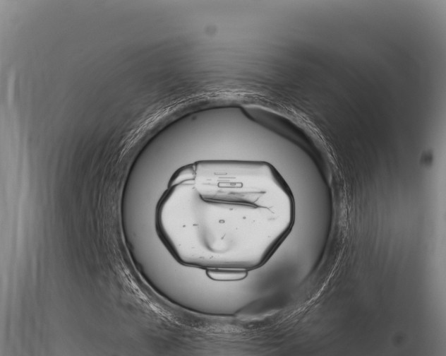 X0000116280577200911301043
