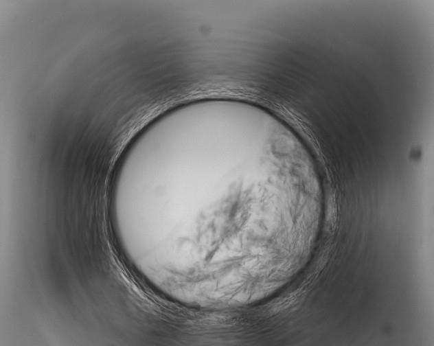 X0000116280578200911301043