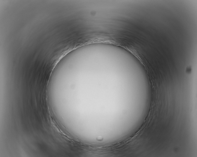 X0000116280579200911301043