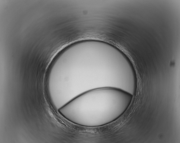 X0000116280580200911301043