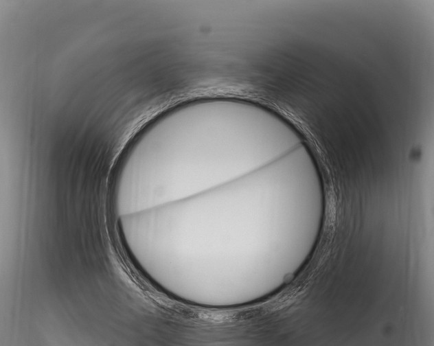 X0000116280582200911301043