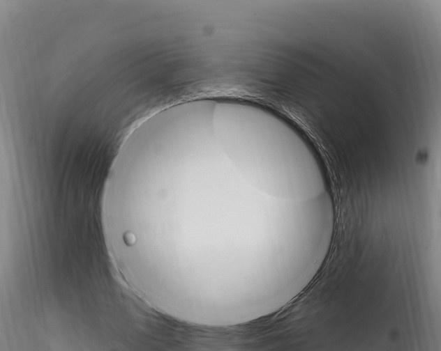 X0000116280583200911301043
