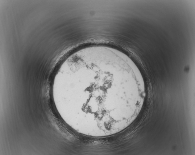 X0000116280584200911301043