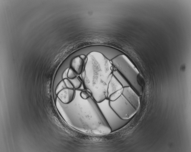 X0000116280585200911301043