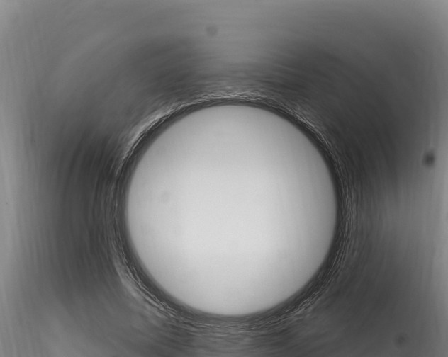 X0000116280587200911301043