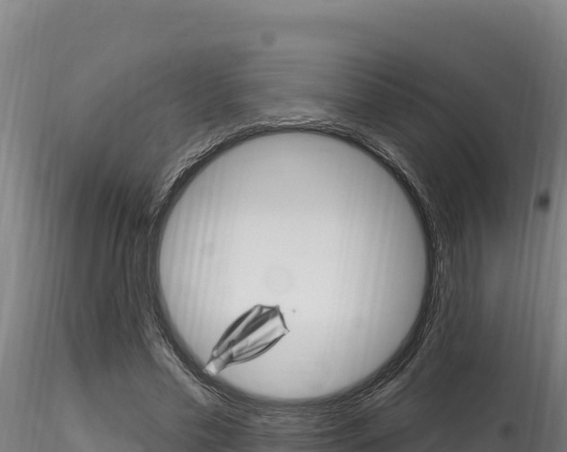 X0000116280589200911301043