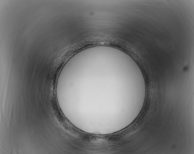 X0000116280594200911301043