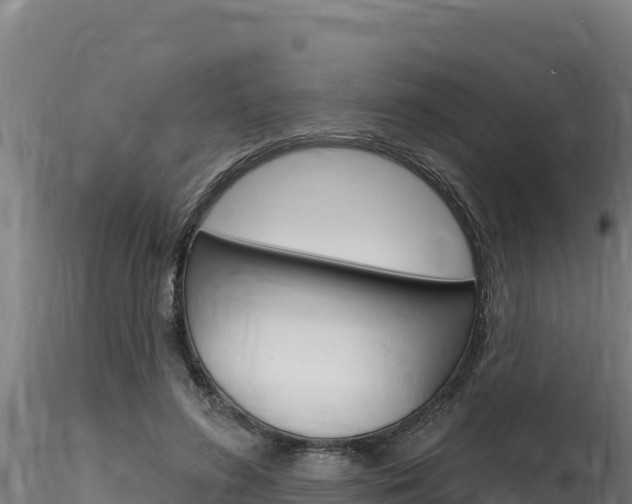 X0000116280596200911301042
