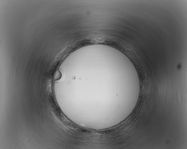 X0000116280598200911301042