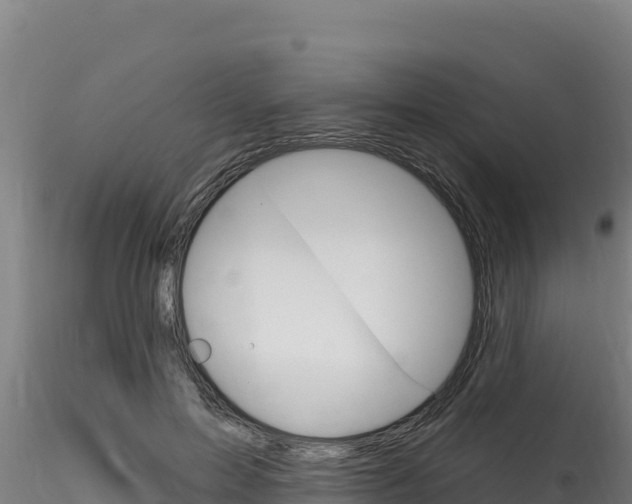X0000116280599200911301042