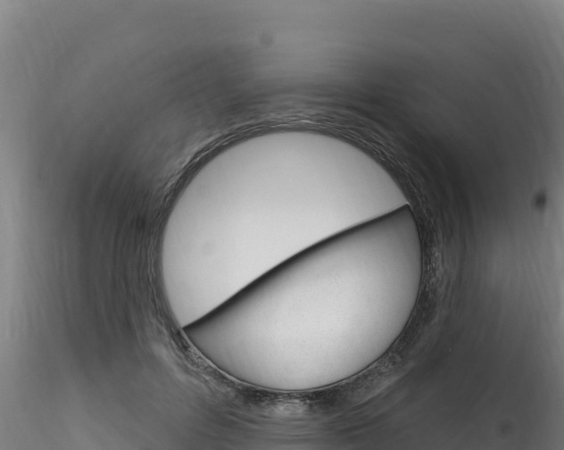 X0000116280600200911301042