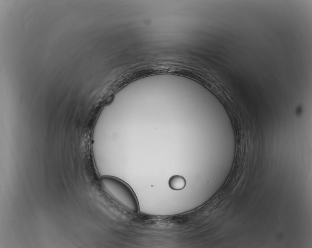 X0000116280601200911301042