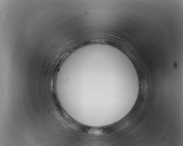 X0000116280602200911301042