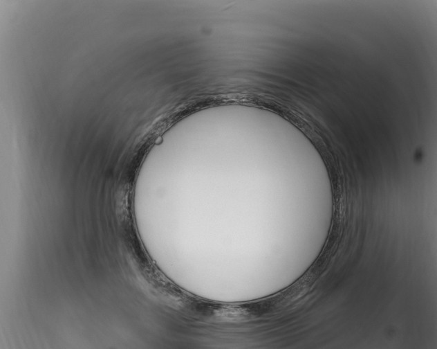 X0000116280603200911301042