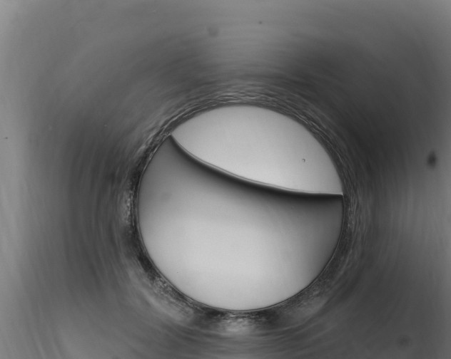 X0000116280604200911301042