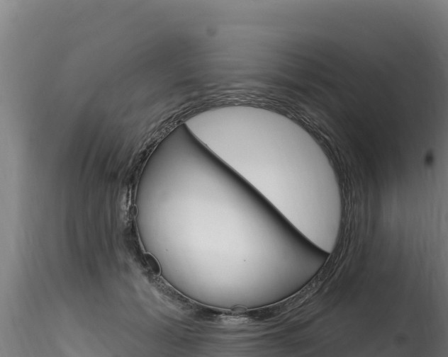 X0000116280605200911301042
