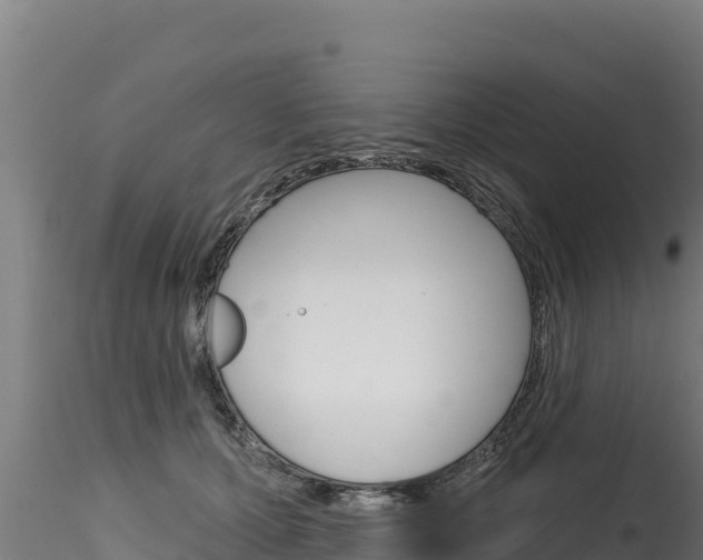 X0000116280607200911301042