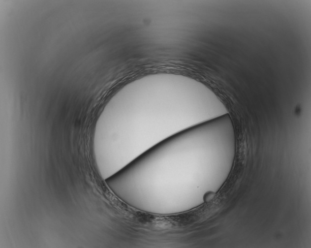X0000116280608200911301042