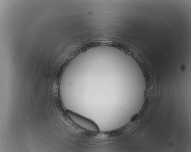 X0000116280609200911301042