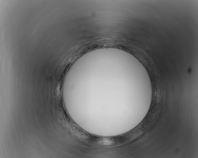 X0000116280610200911301042