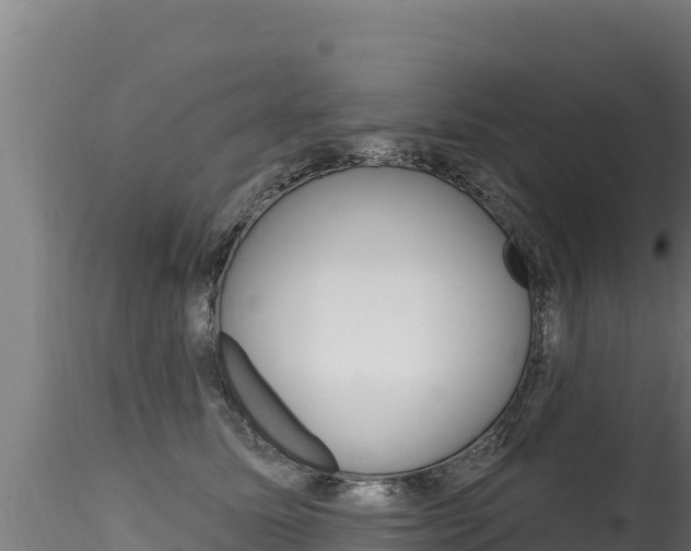 X0000116280611200911301042