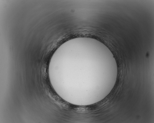 X0000116280615200911301042