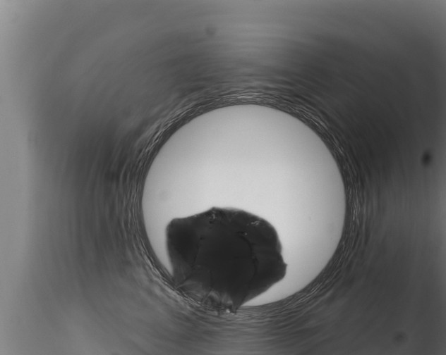 X0000116280617200911301042