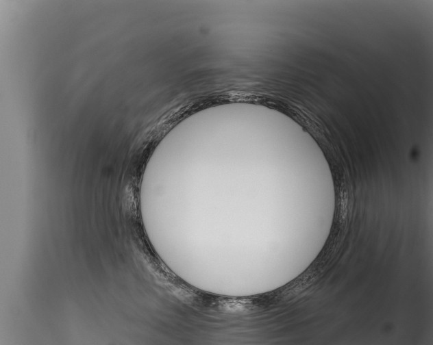 X0000116280618200911301042