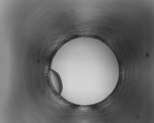 X0000116280619200911301042