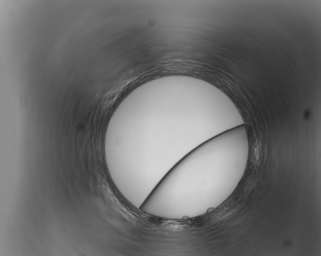 X0000116280620200911301042