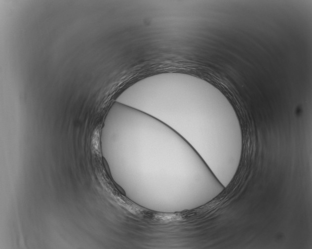 X0000116280621200911301042