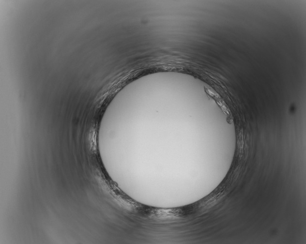 X0000116280622200911301042