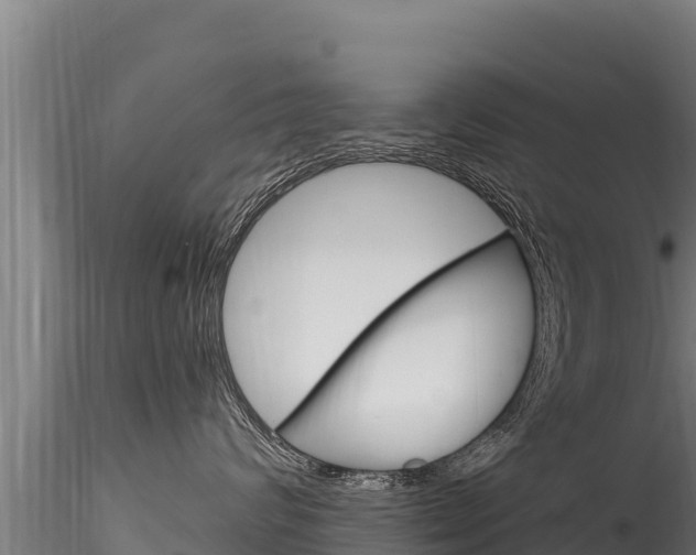 X0000116280624200911301042