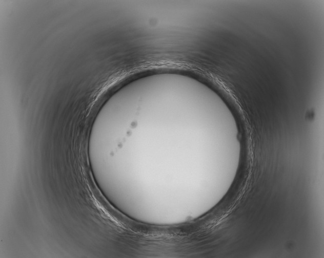 X0000116280625200911301041