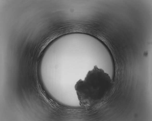 X0000116280626200911301041